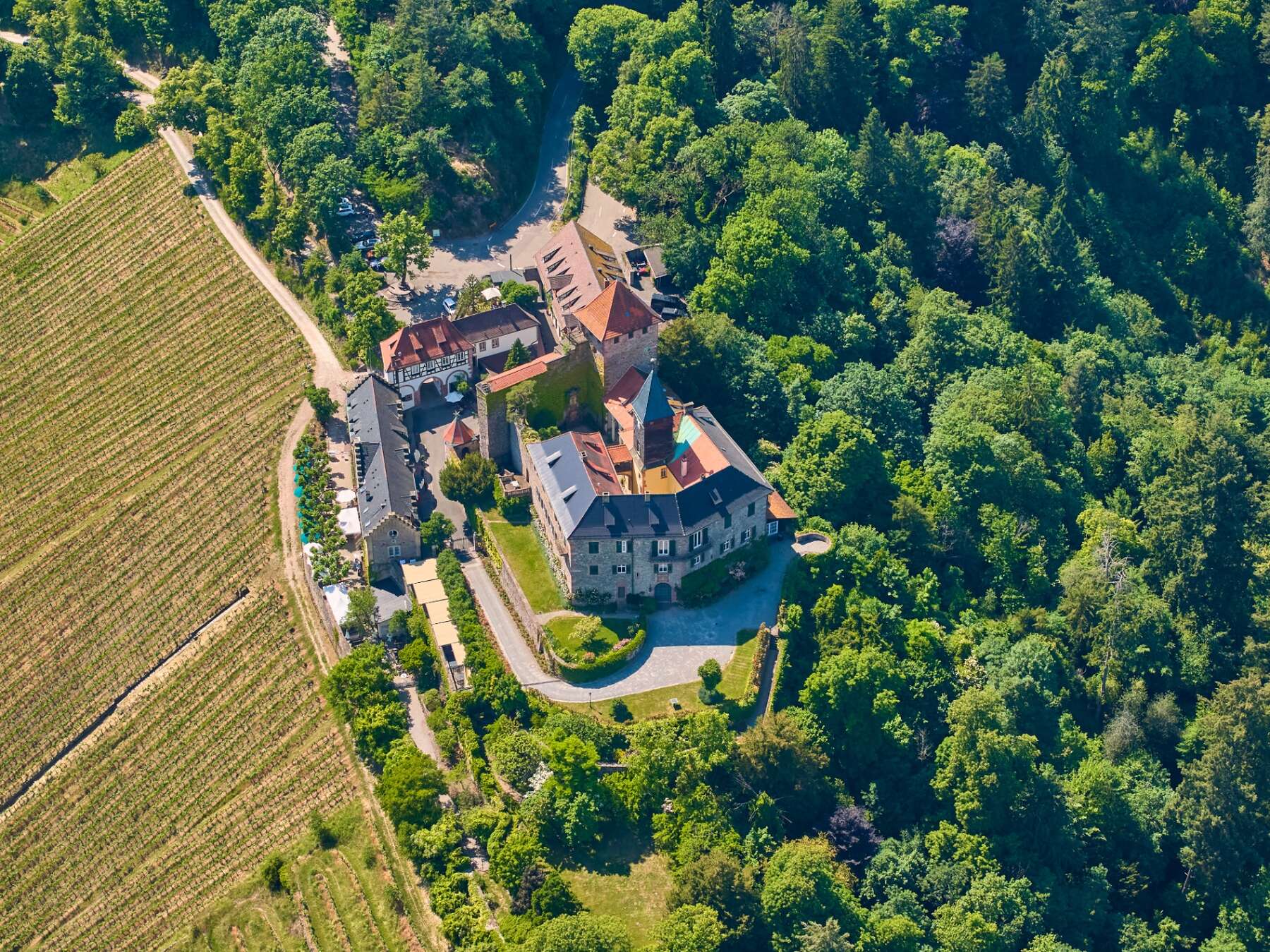 Schloss Eberstein über den Weinbergen